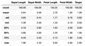 Output of dataset summary using describe()
