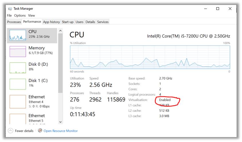 Visualization Enabled on Windows