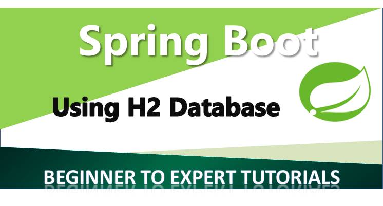 Using the H2 Database