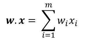 perceptron dot product